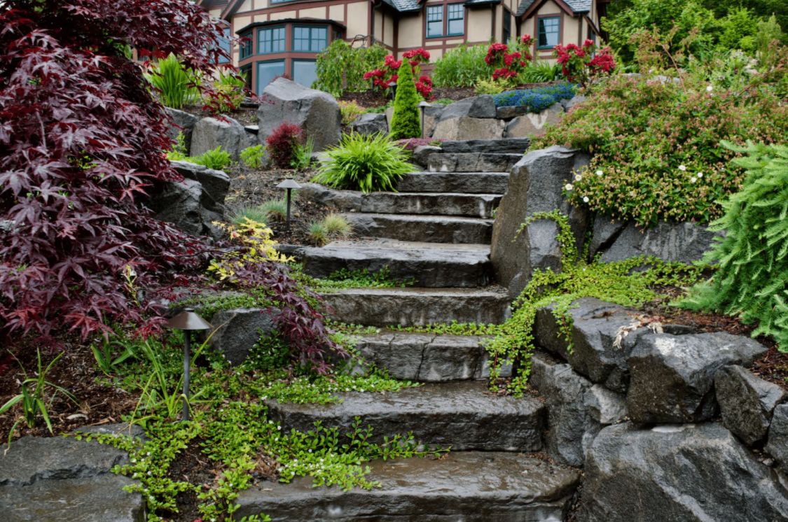 Stone garden steps leading to a house, surrounded by lush greenery and red-leafed shrubs