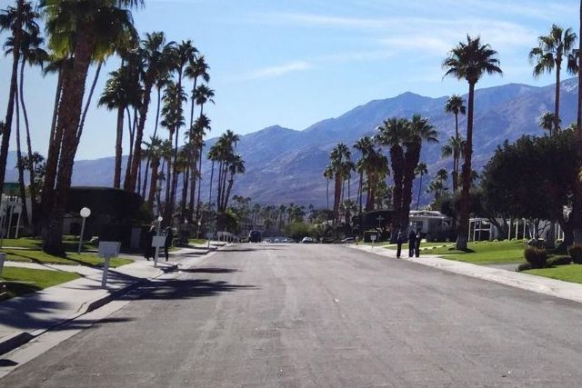 A street with palm trees and mountains in the background
