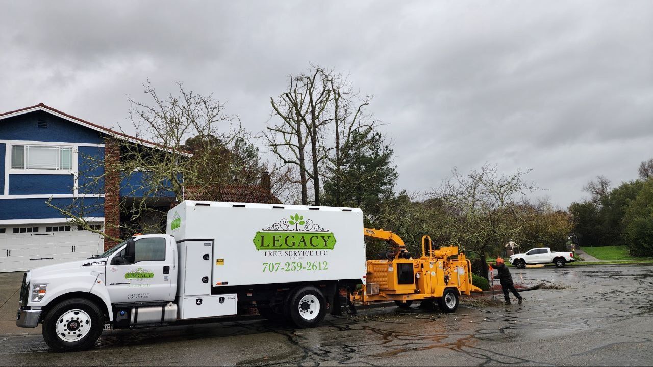 tree trimming