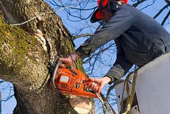 a man is cutting a tree with a chainsaw .
