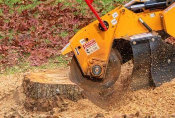 a stump grinder is cutting a tree stump in the ground .