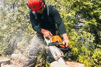 a man is cutting a tree stump with a chainsaw .