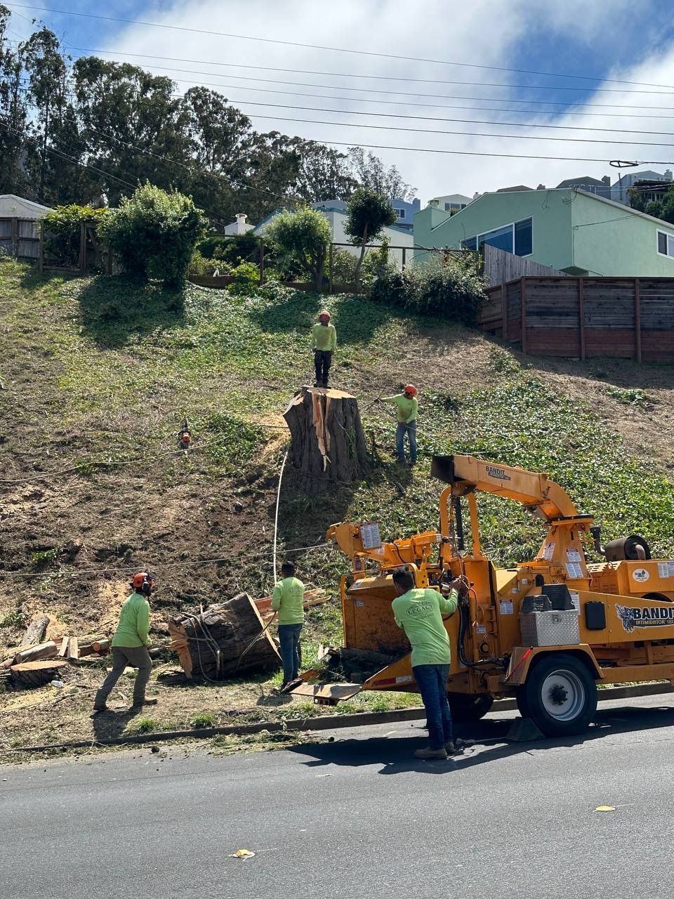 stump grind