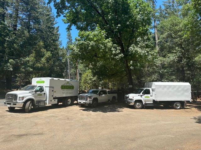 trucks