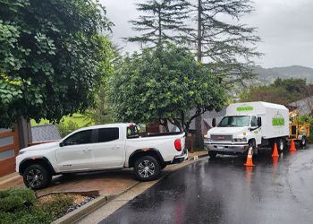 a white truck is cutting a tree with a crane .