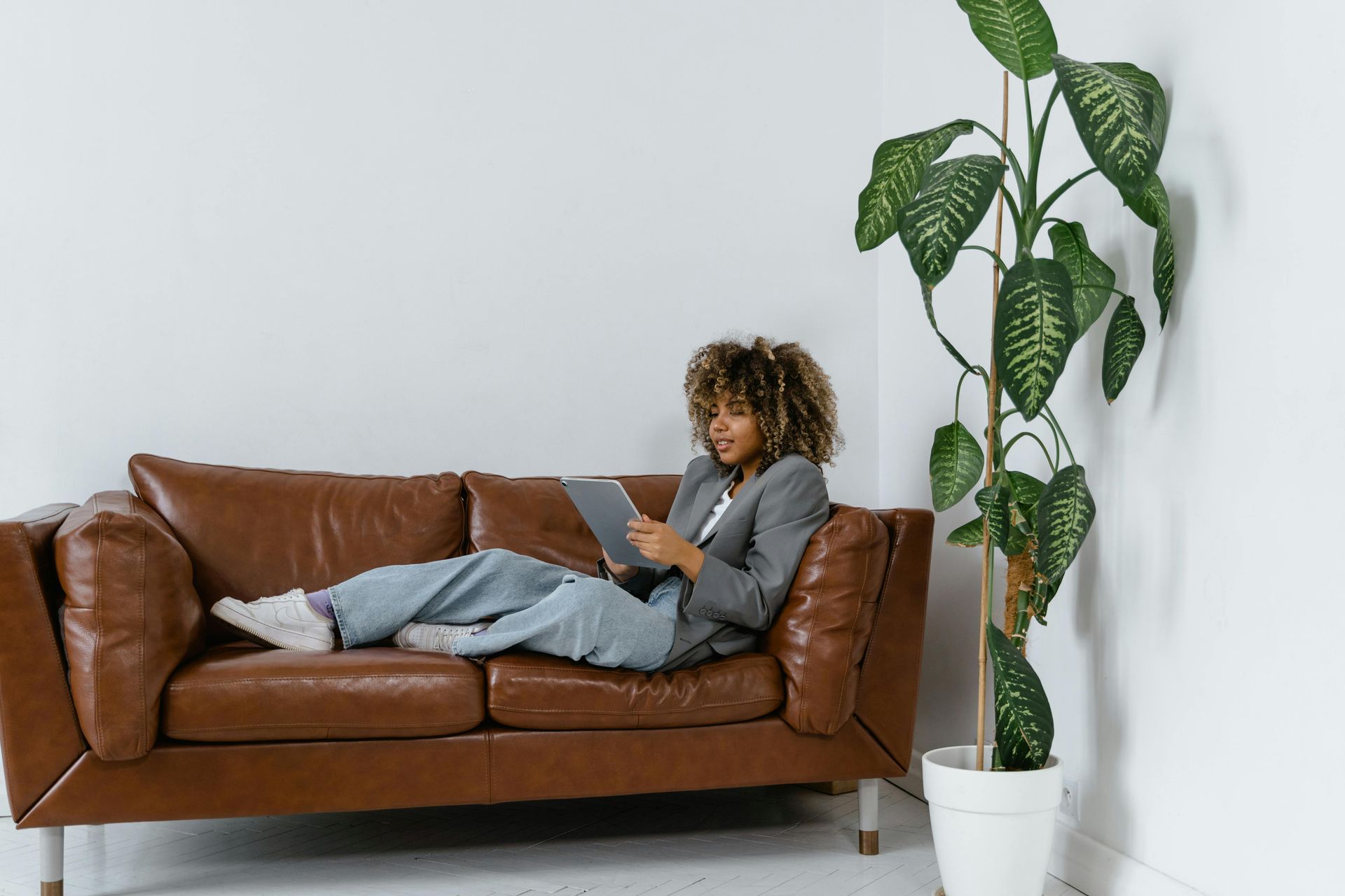 Person reclining on a brown sofa using a laptop beside a tall potted plant