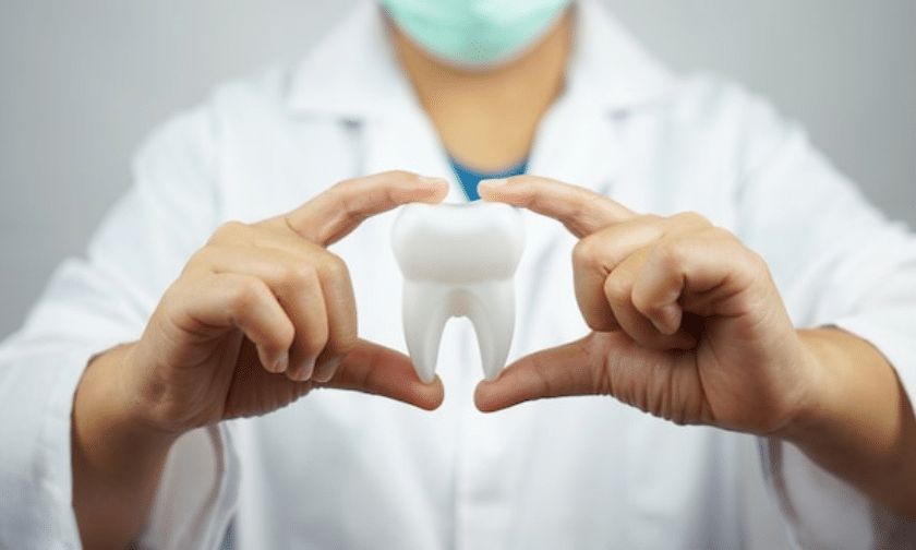 Dentist holding a large, white tooth, wearing a lab coat and surgical mask.