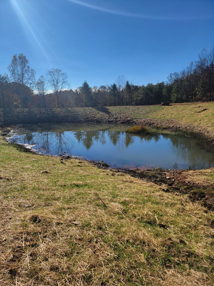 A sunlit pond set in a grassy clearing, surrounded by a treeline under a clear blue sky.