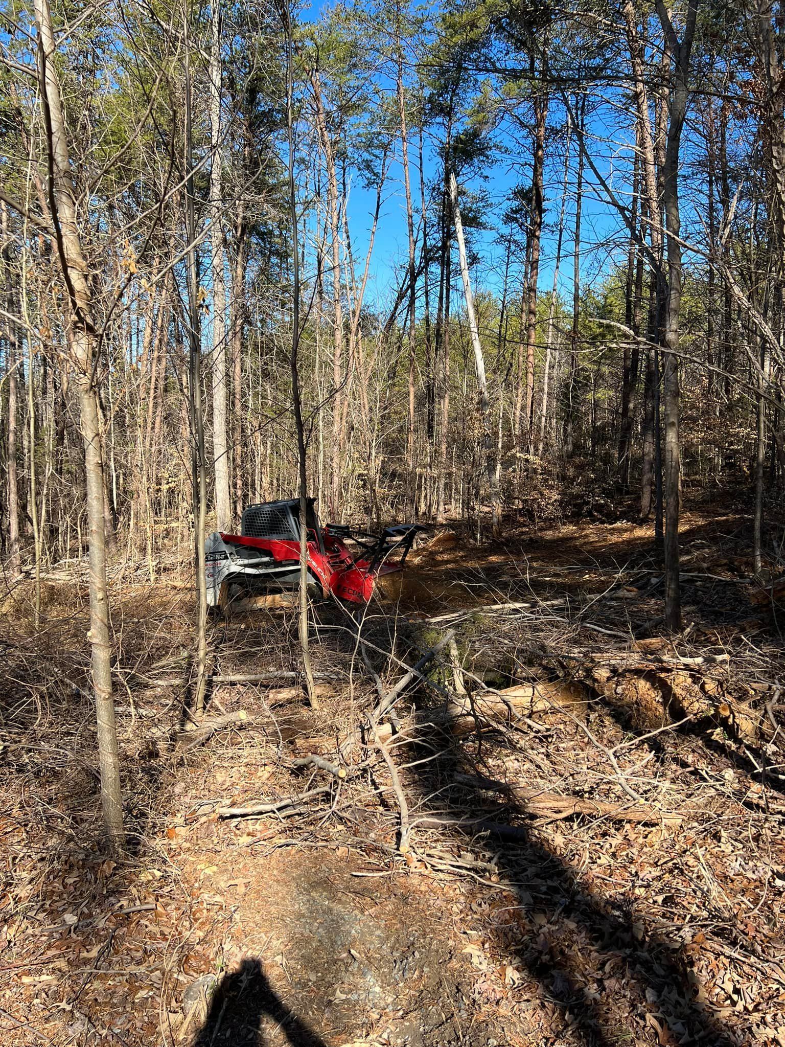 A red ATV parked in a sunlit, leafless forest clearing covered in dry leaves and scattered branches.