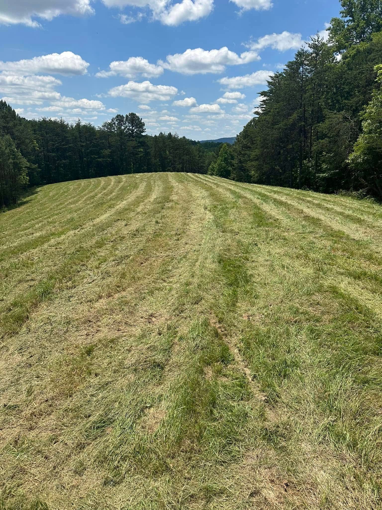 A freshly mowed field stretches between two lines of trees under a bright blue, cloudy sky.