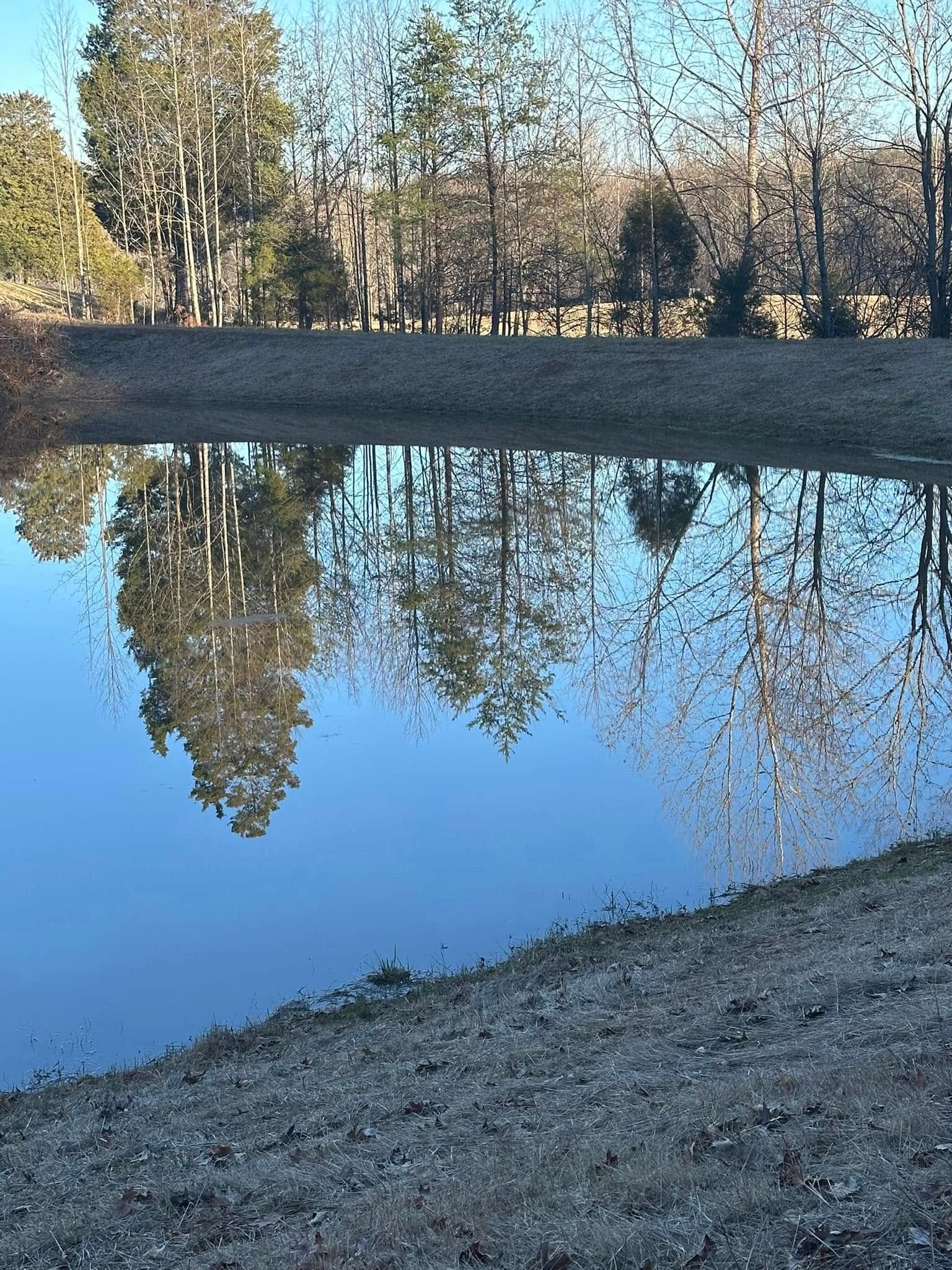 A calm pond reflects tall trees and a bright blue sky, with a pebbled shoreline in the foreground.
