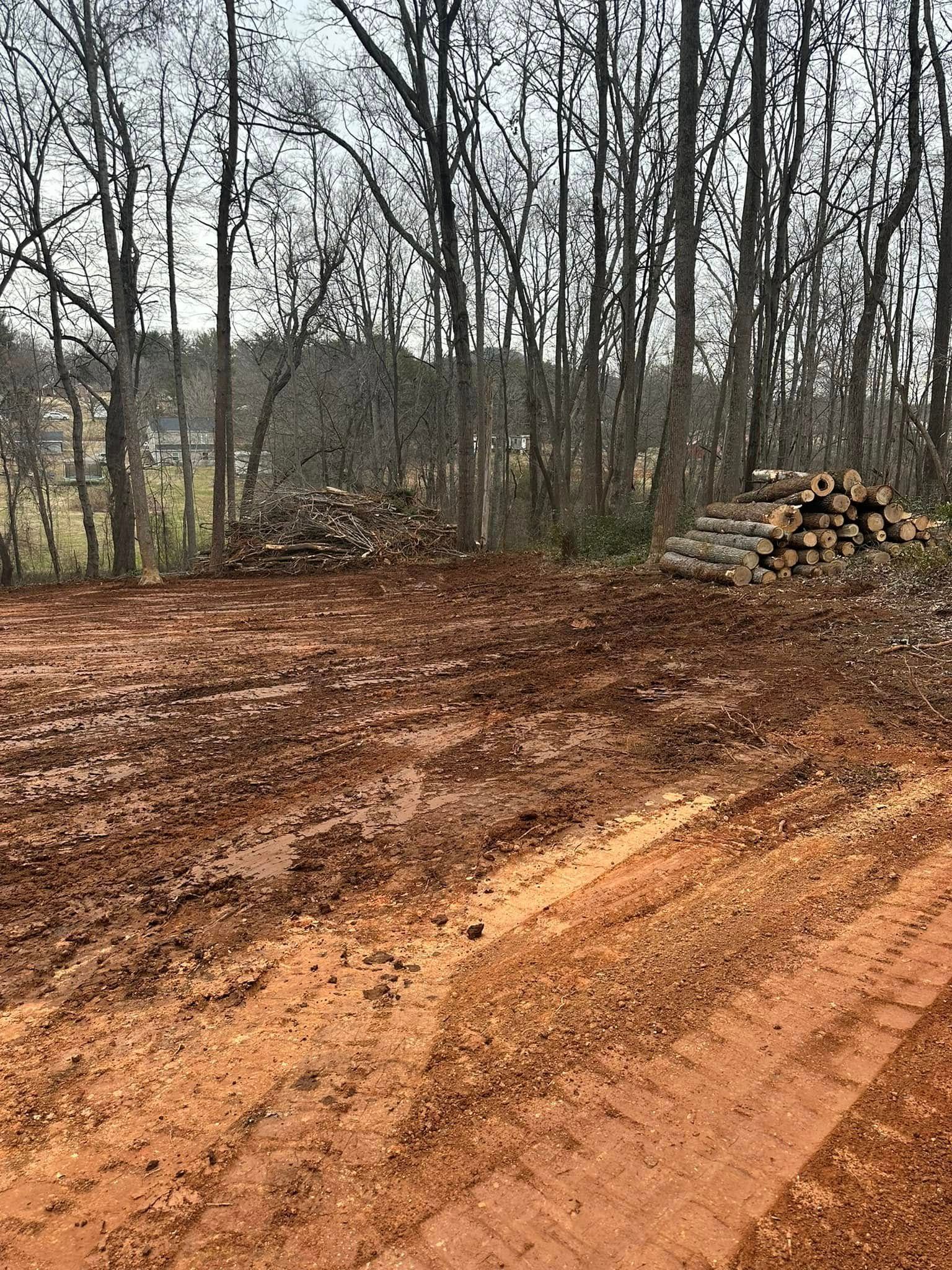 A clearing with red mud, tire tracks, and piles of cut logs against a backdrop of bare trees.