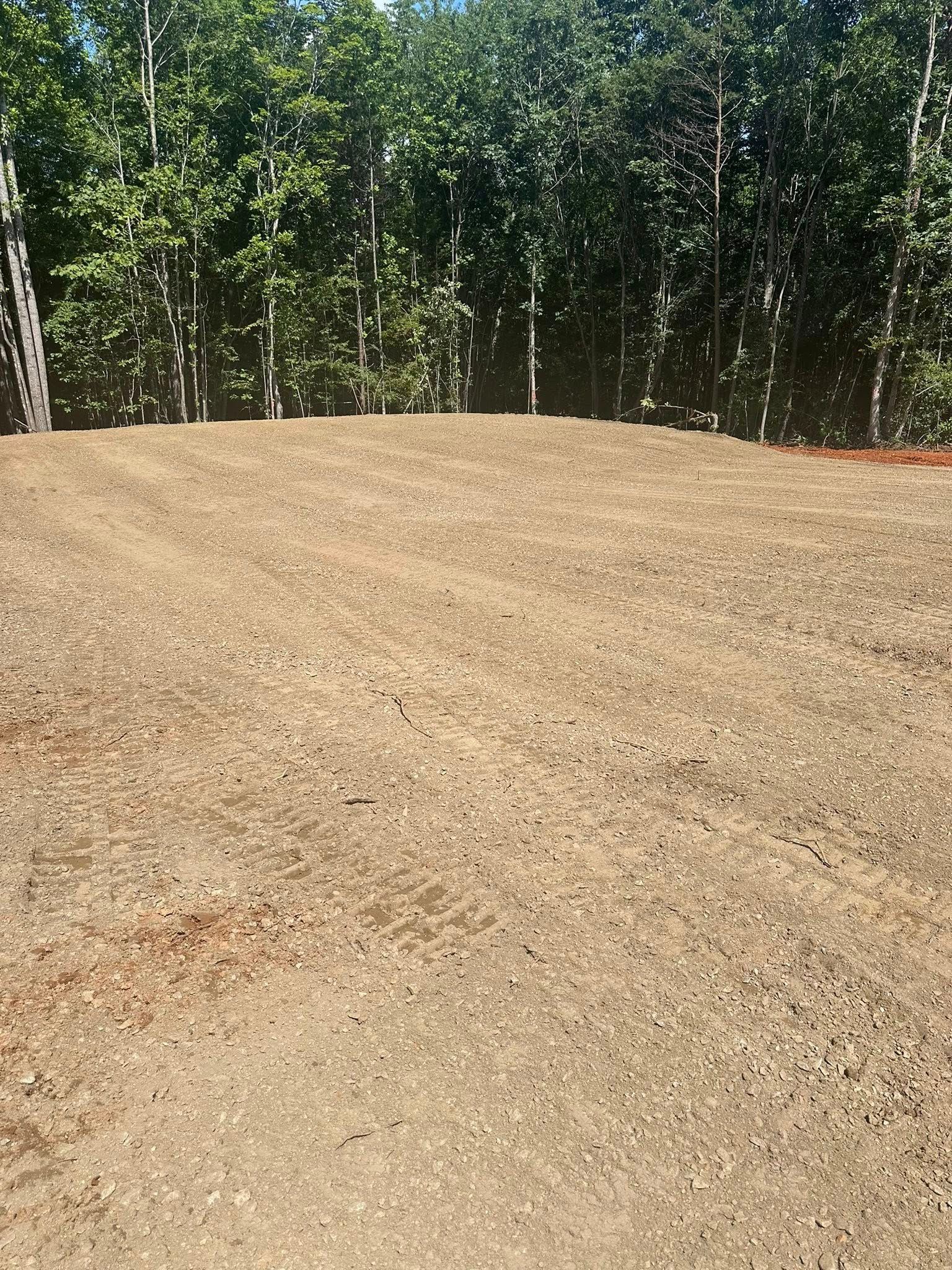 A freshly graded, light-brown dirt lot cleared of vegetation, bordered by a dense line of trees in the background.