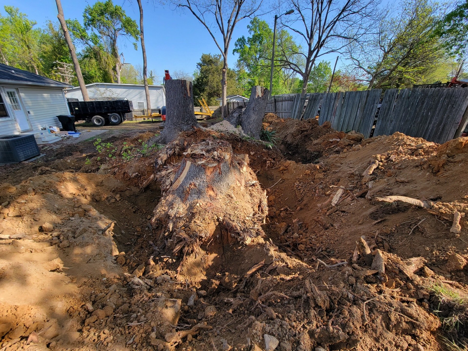 Stump Grinding and Excavation in Graham, NC Trees Are Us