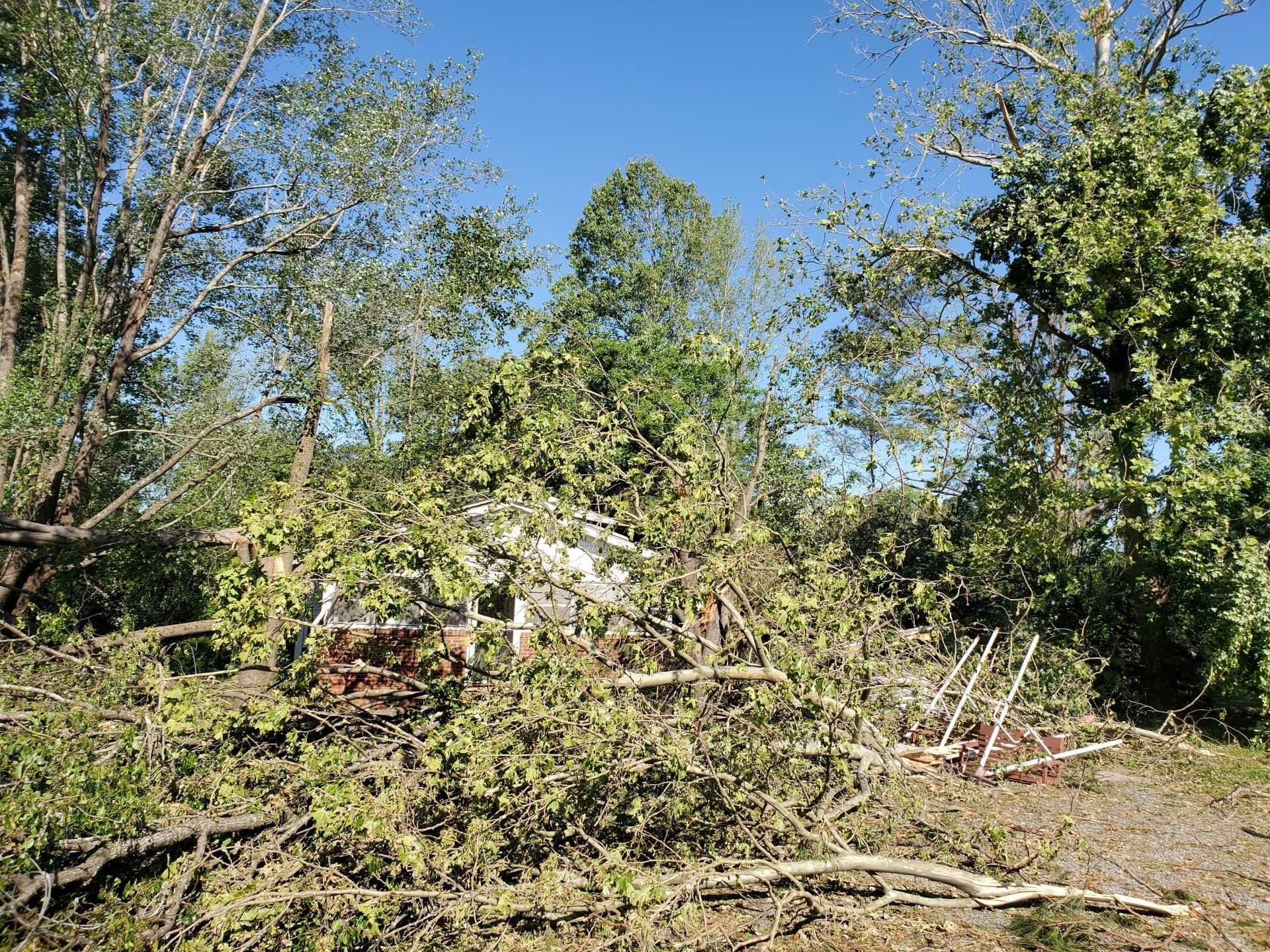 Tree Services — Burlington, NC — Trees Are Us A small white house partially obscured by large fallen tree branches and debris following a storm.