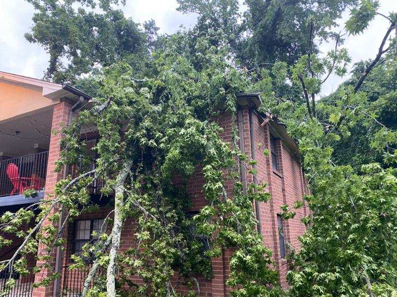 A large tree has fallen onto the roof and side of a two-story red brick building.