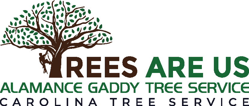 Tree Are Us Logo for Trees Are Us, Alamance Gaddy Tree Service, and Carolina Tree Service, featuring a tree silhouette and climber.