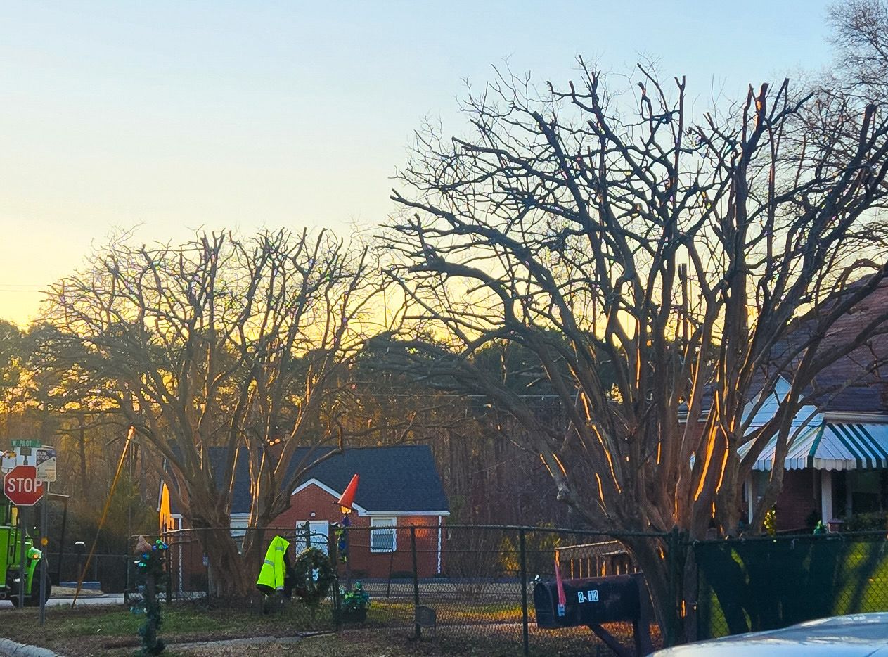 A worker in a high-visibility yellow vest stands near bare trees at sunset in front of a house.