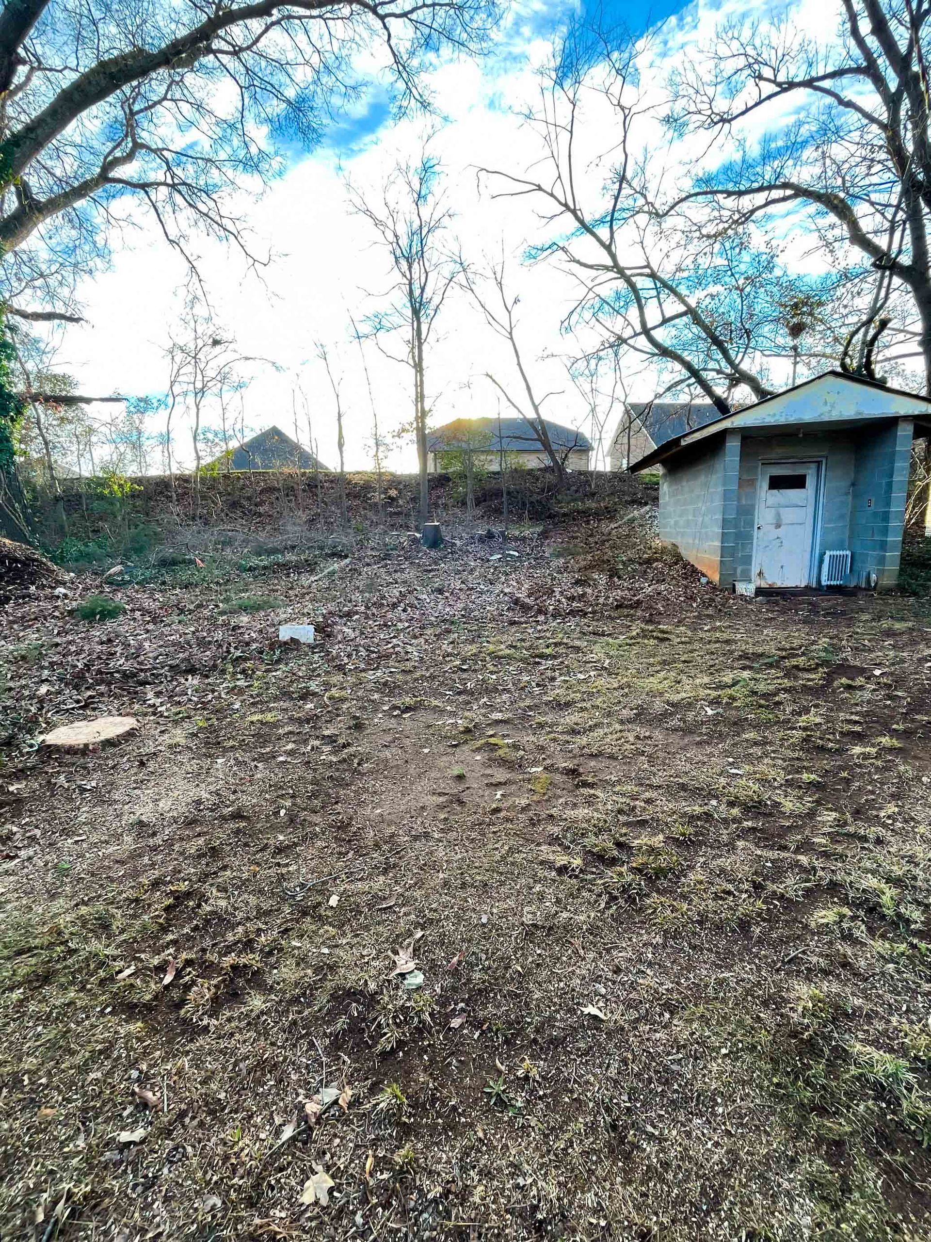 A small, light-colored shed with a white door stands in a yard covered in fallen leaves under a bright, sunny sky.