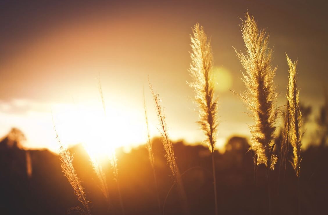cremation services Warman, SK