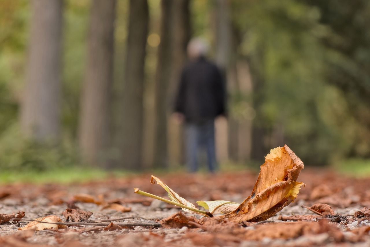 cremation services in Osler, SK