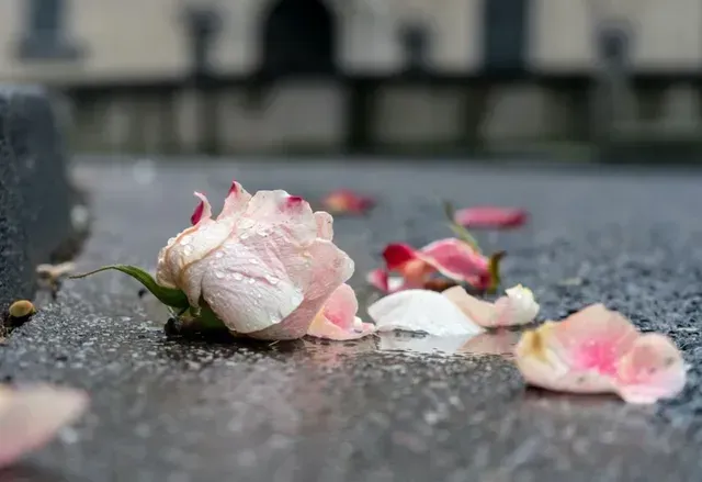 cremation services servicing Saskatoon, SK