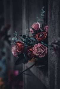 cremation services in Martensville SK 10