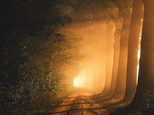 cremation services in Martensville, SK