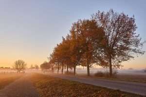 cremation services in Osler, SK 07