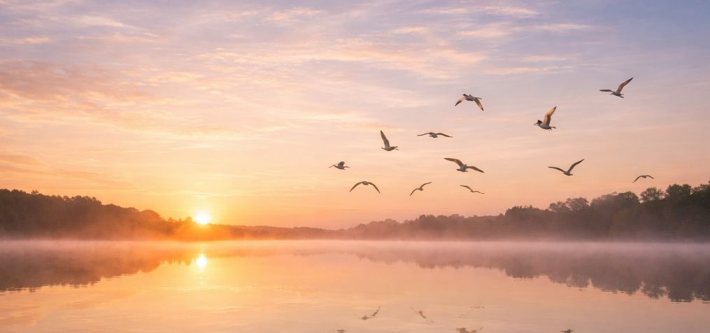 cremation services Warman, SK peaceful sunrise over calm lake with birds