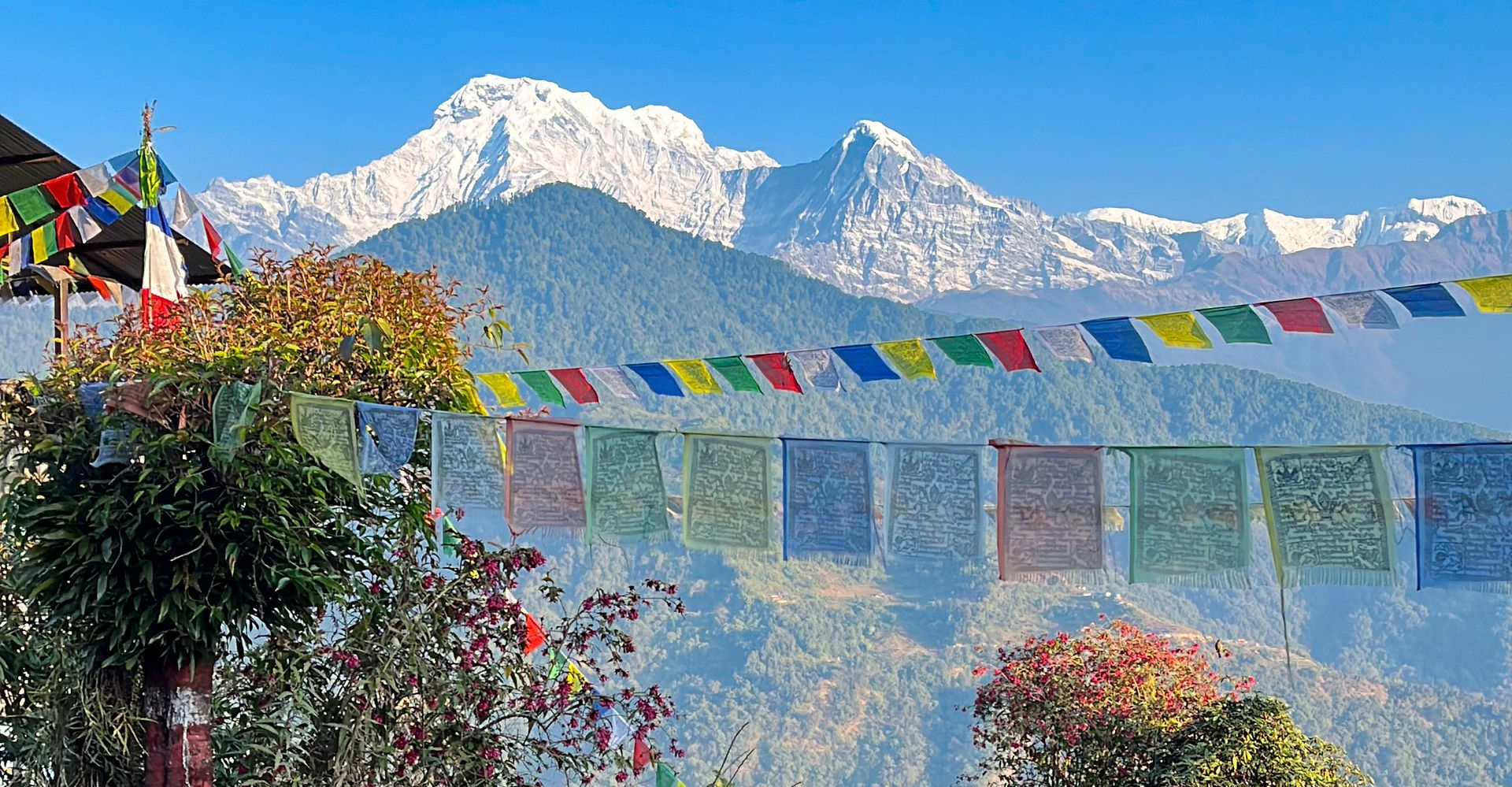 Colorful flags with the Annapurna range in the background, highlighting trekking in Nepal.