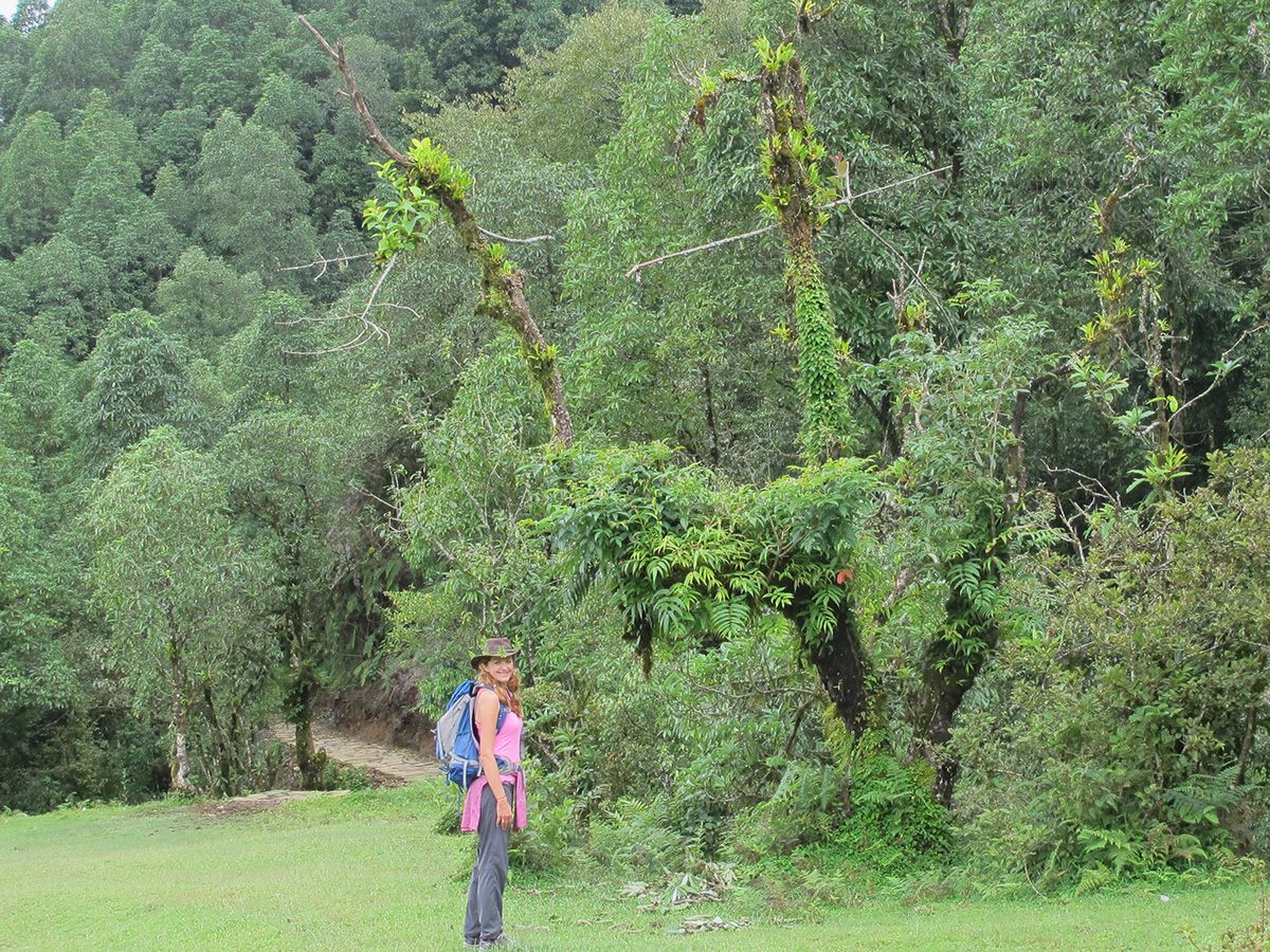 Female trekker exploring a lush green forest in Nepal during summer, highlighting the beauty of nature on trekking routes.