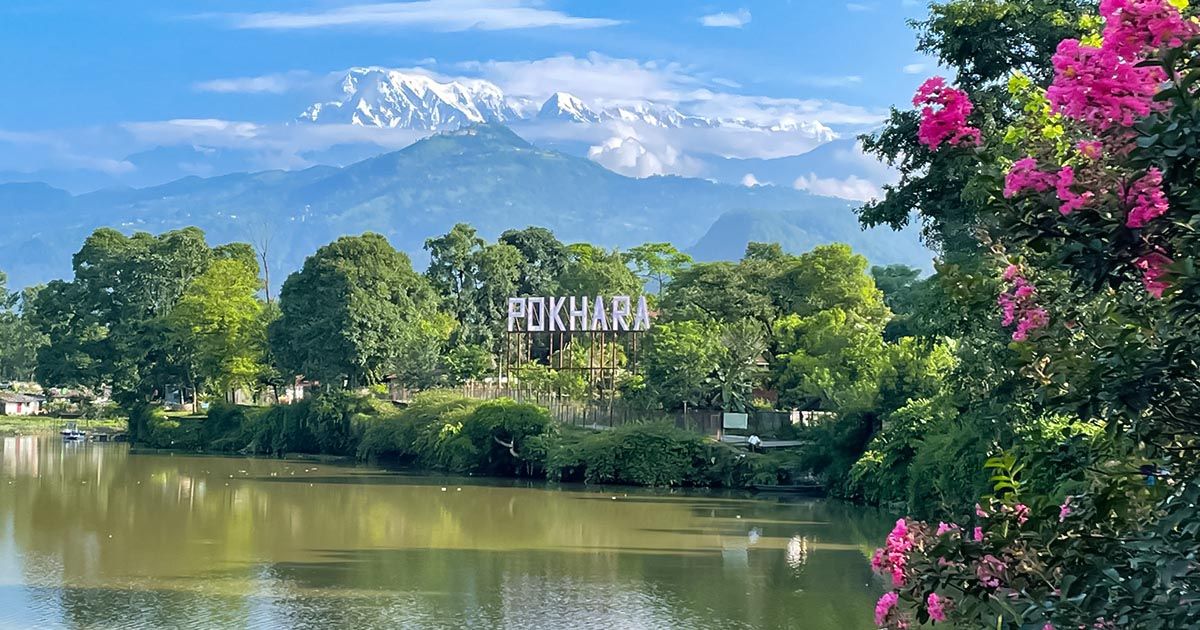 A scenic view of Phewa Lake in Pokhara, framed by lush greenery and the snow-capped peaks of the Himalayas in the background.