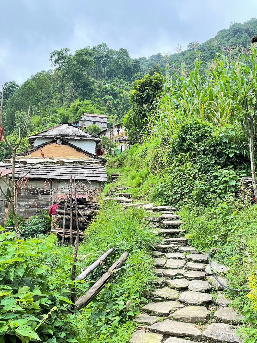 tone pathway through a traditional village in the Annapurna region, surrounded by lush greenery on a summer day.