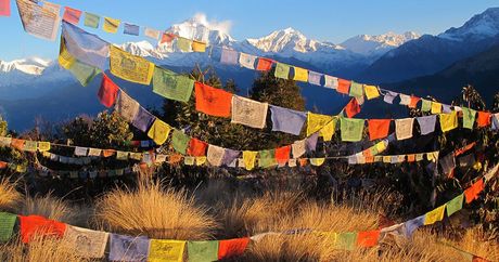 Prayer flags on Poon Hill in the early morning, with Dhaulagiri in the distance