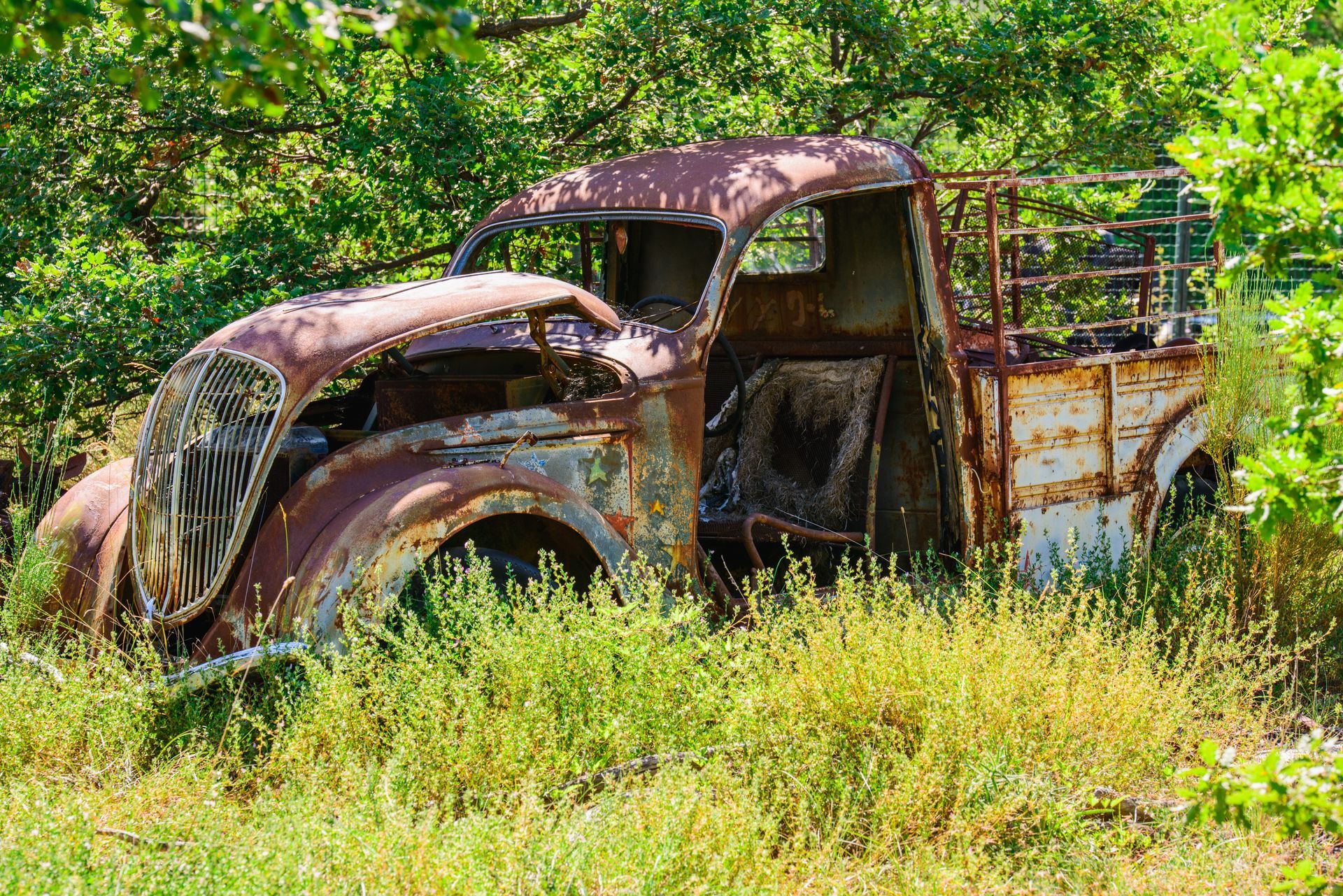 Rusty abandoned pickup truck overgrown in tall grass and weeds near trees