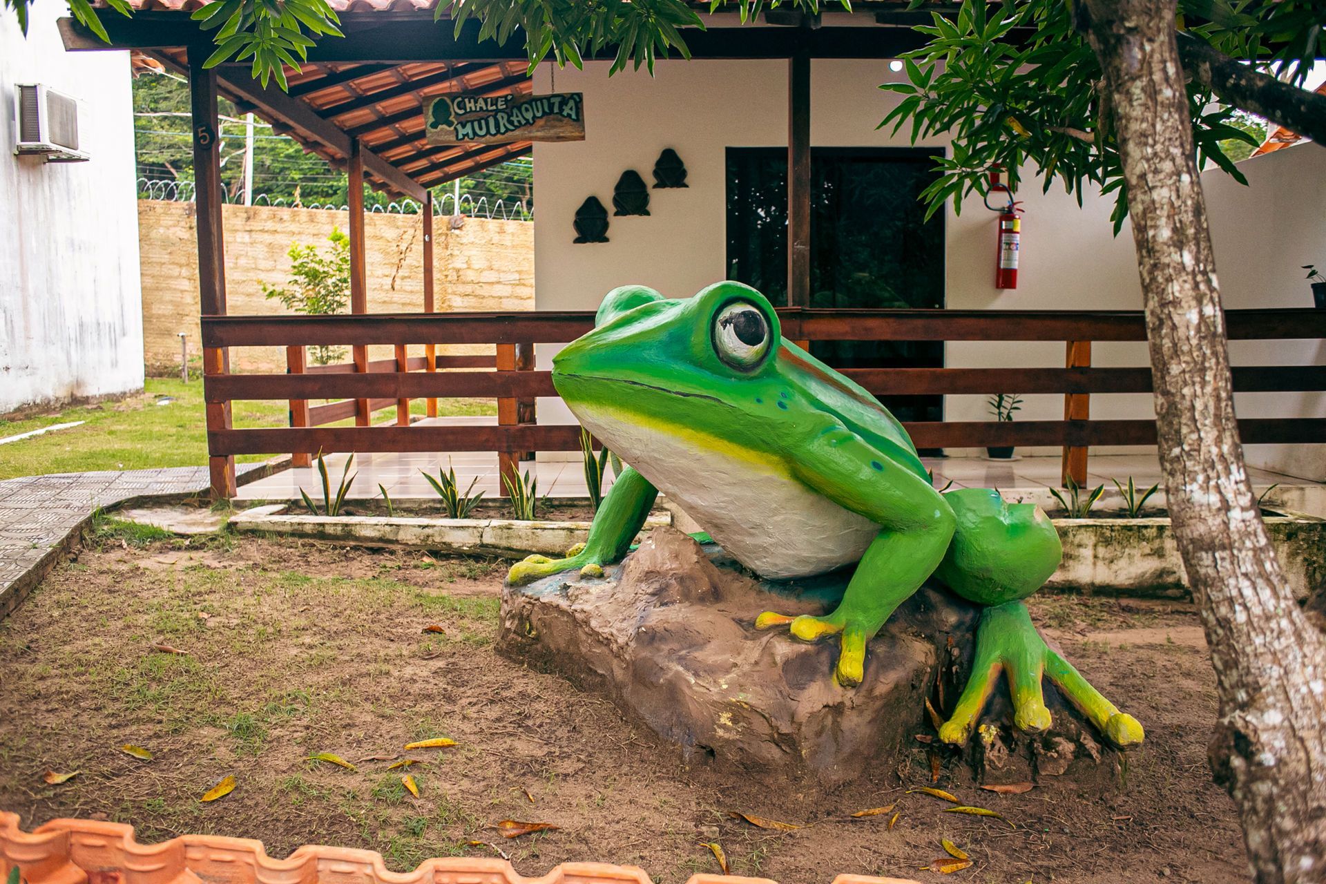 Green frog statue on a rock in a yard, with a white building in the background.