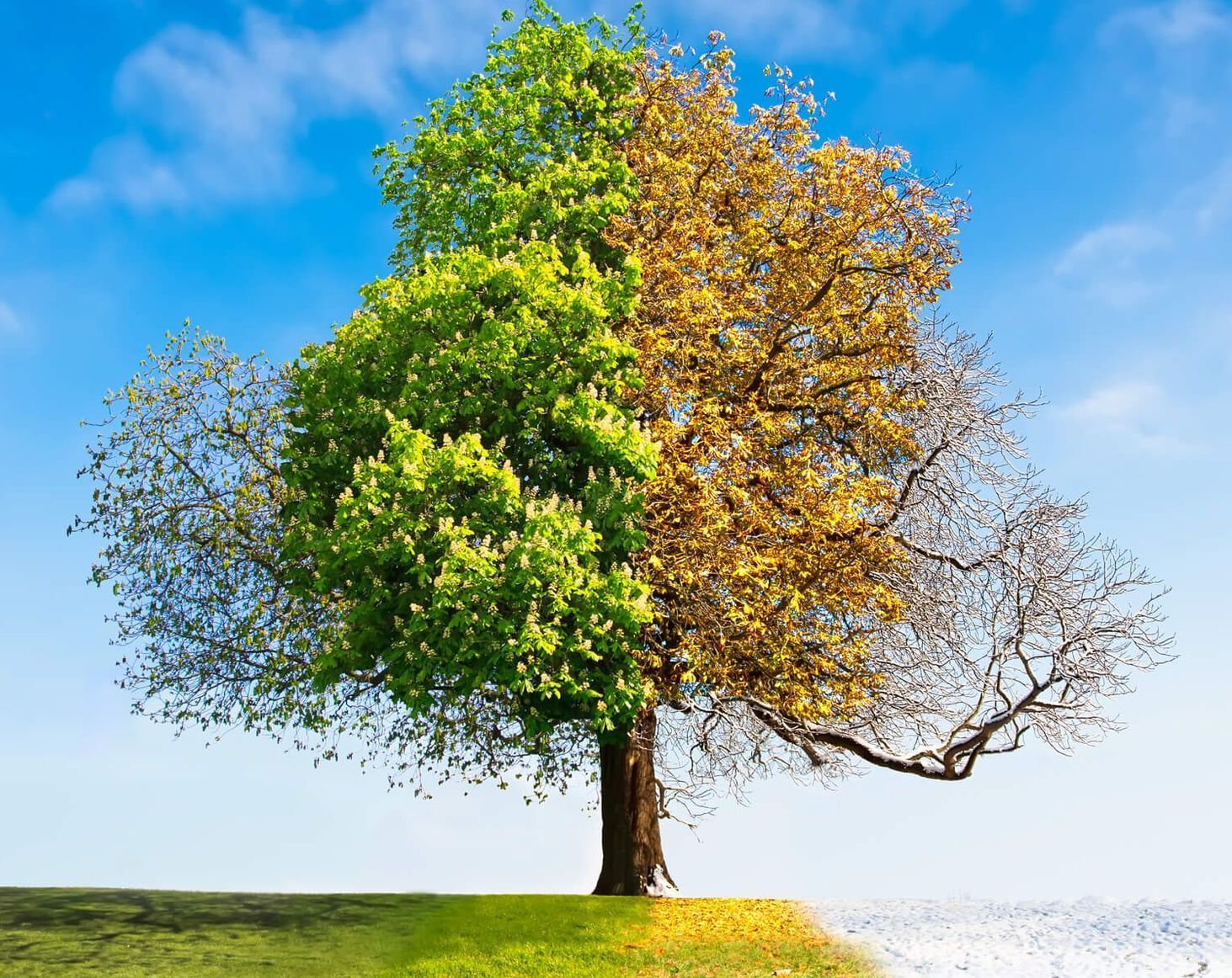 gratis meditaties Gratis seizoenschallenge