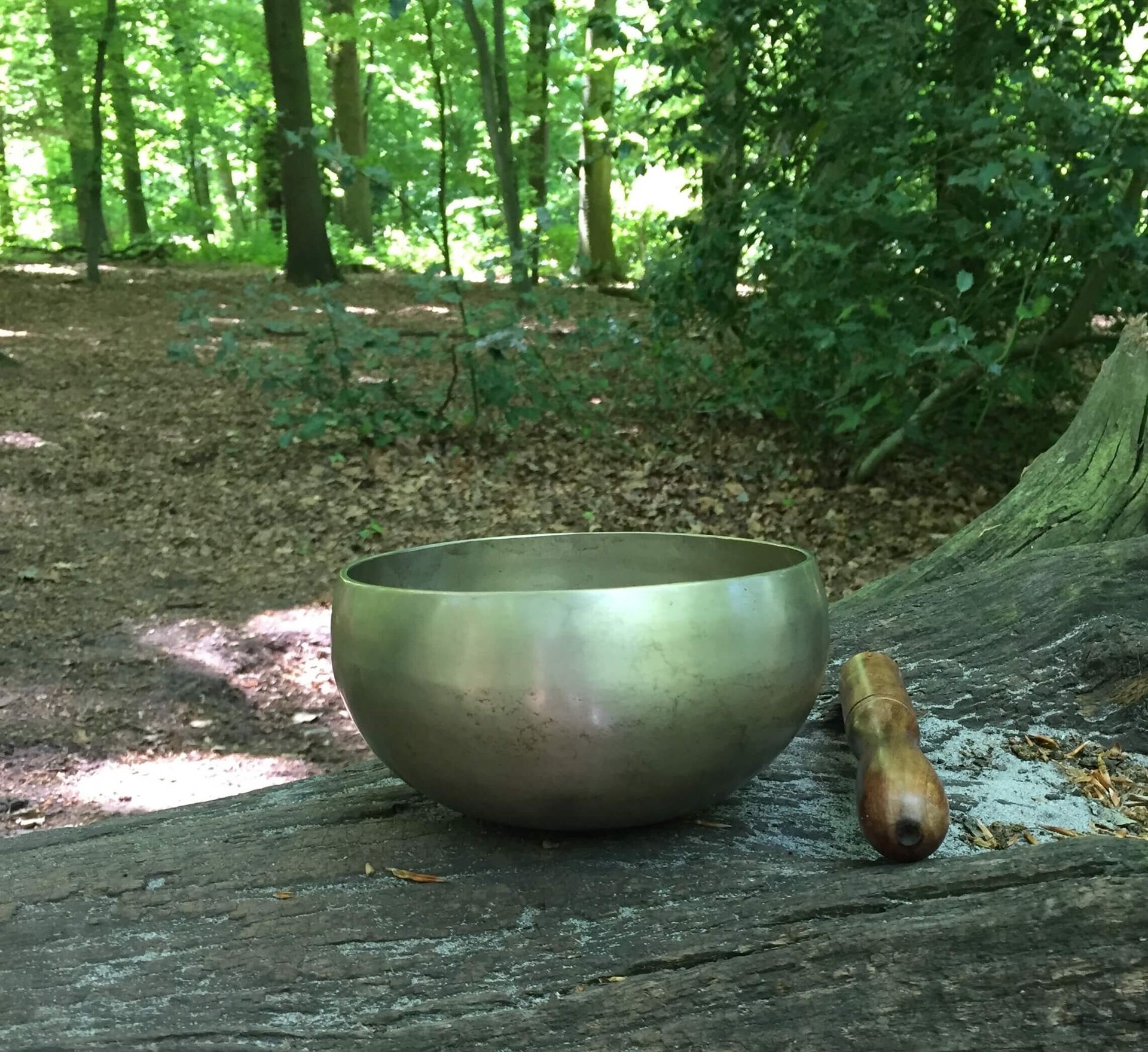 gratis meditaties Gratis meditaties