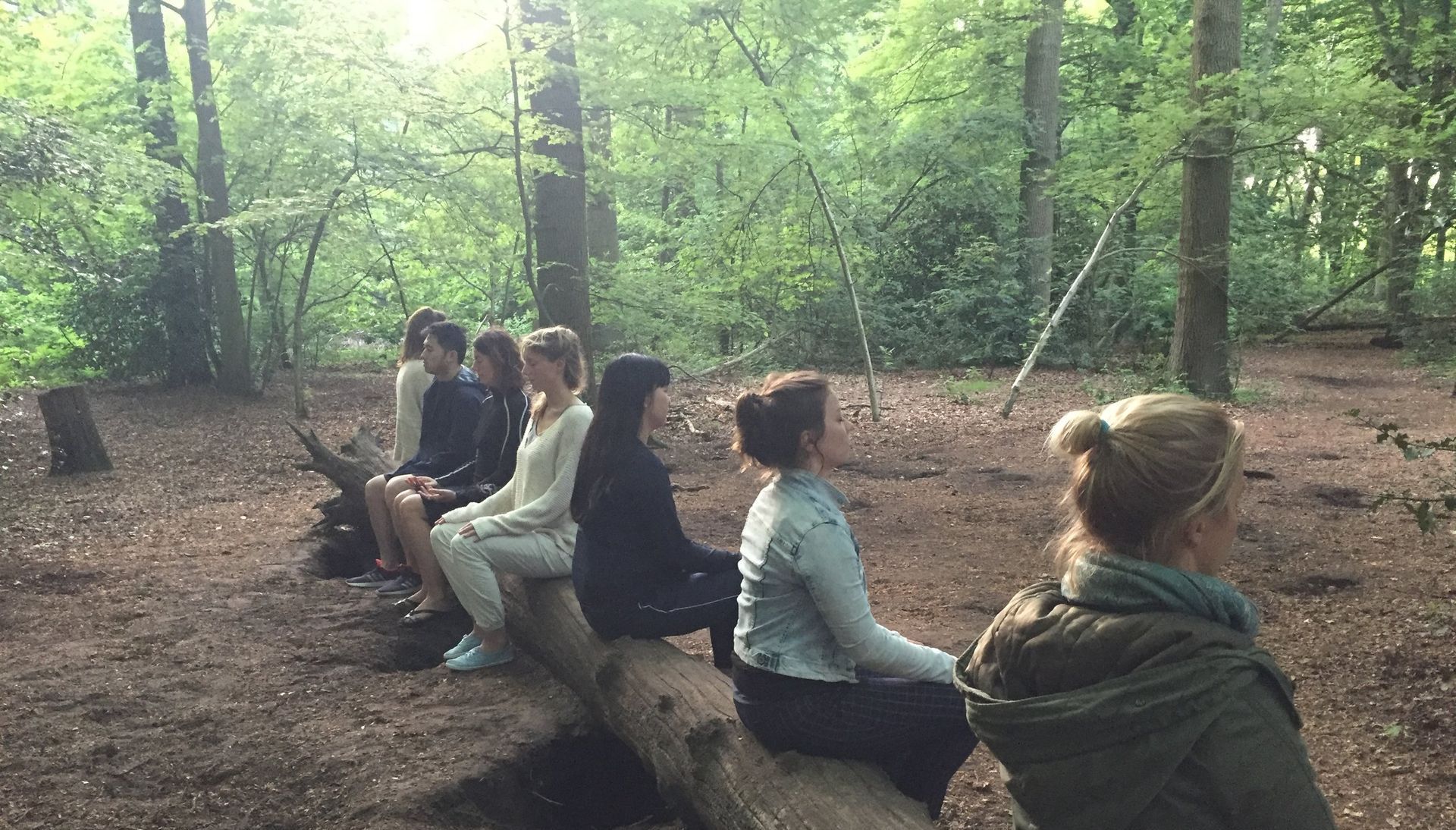zintuigelijke meditatie tijdens bosbad Bosbad Shinrin-Yoku