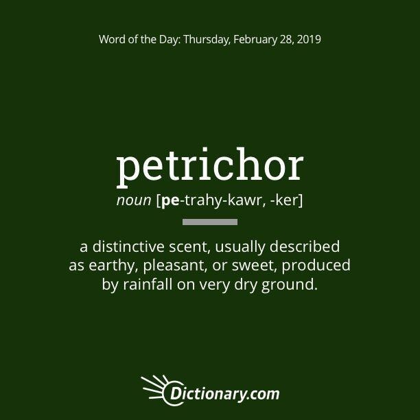 petrichor geur van regen