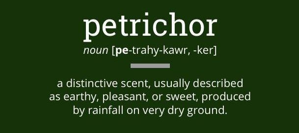 petrichor