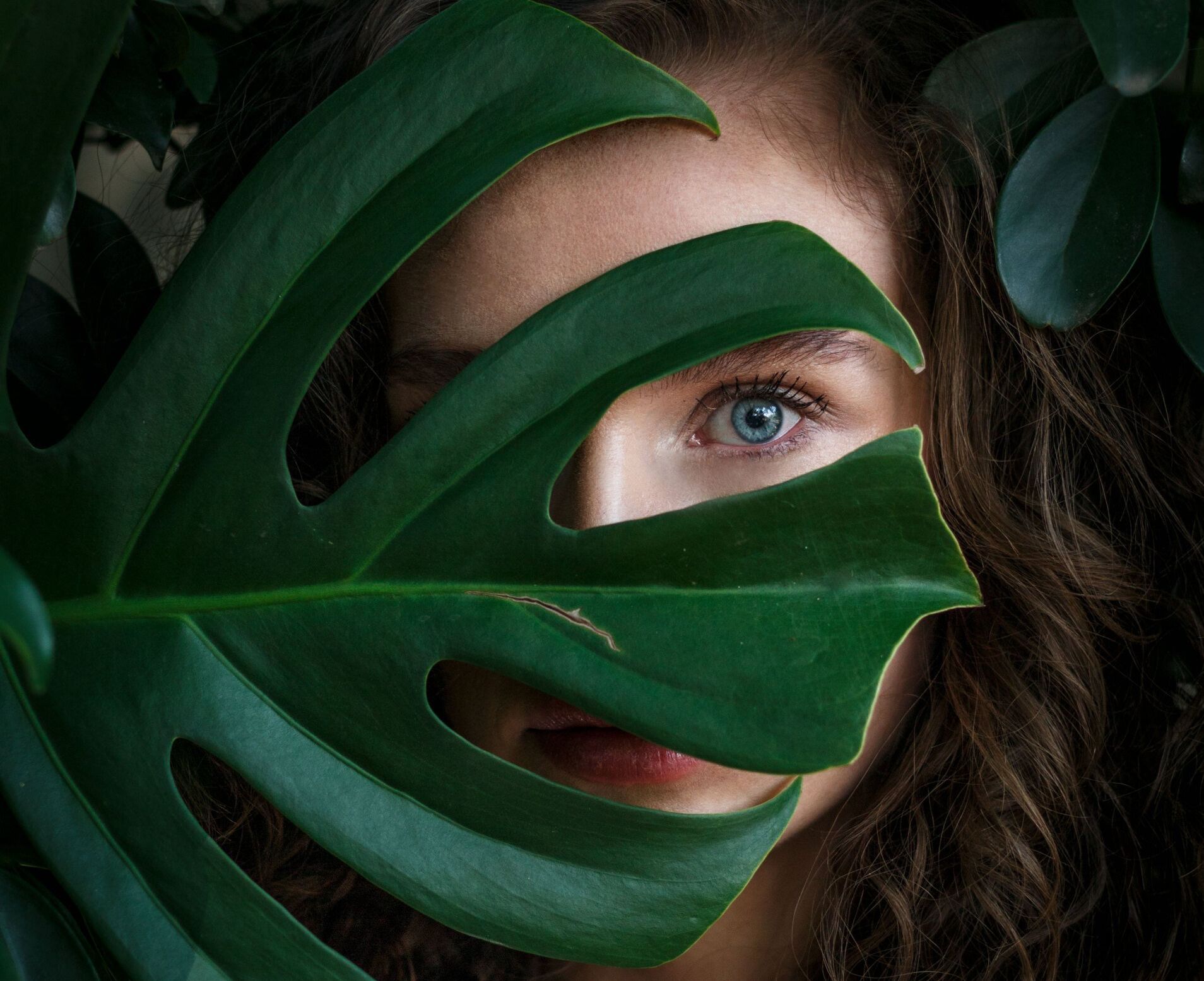 gratis meditaties Gratis meditaties