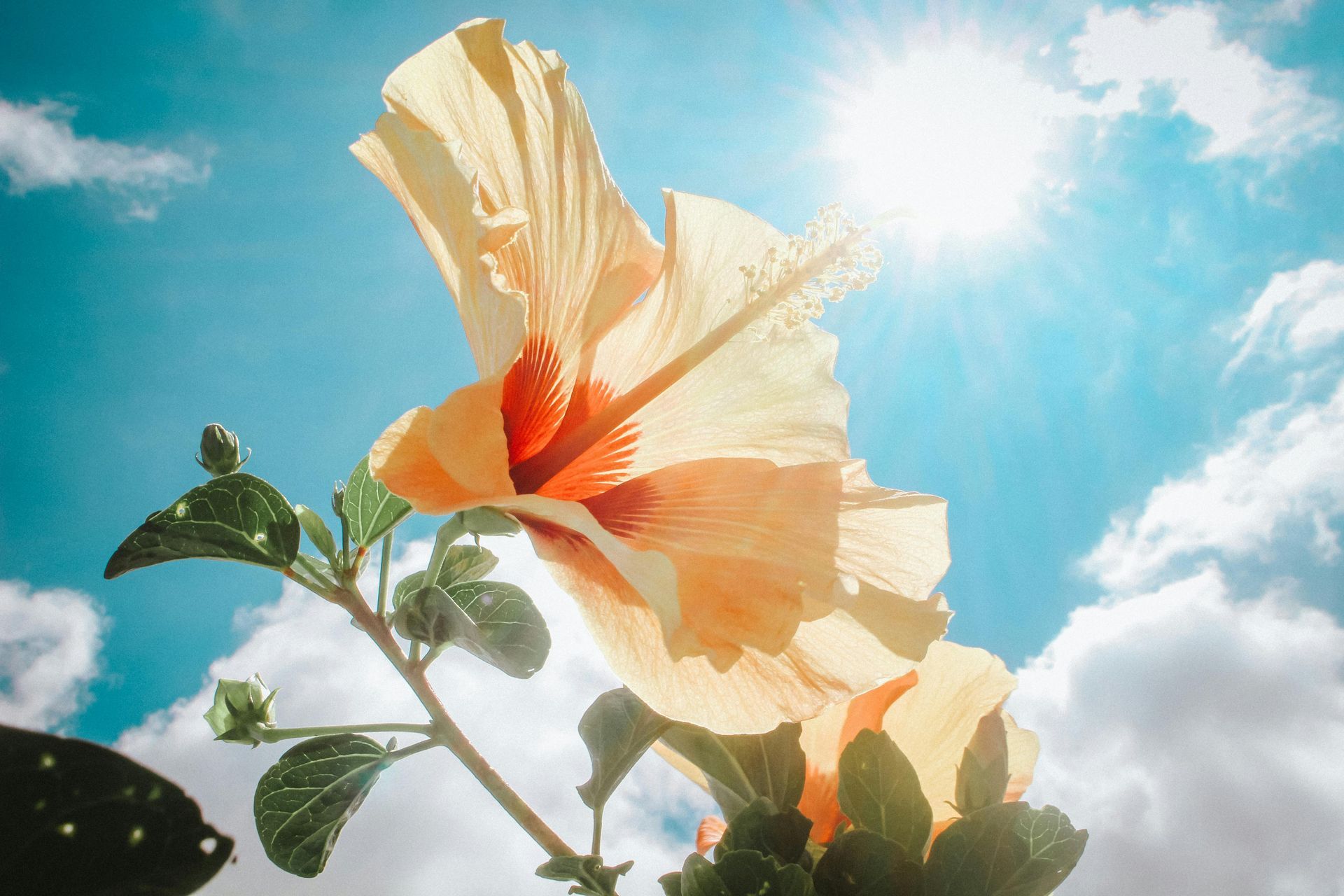 lente zon