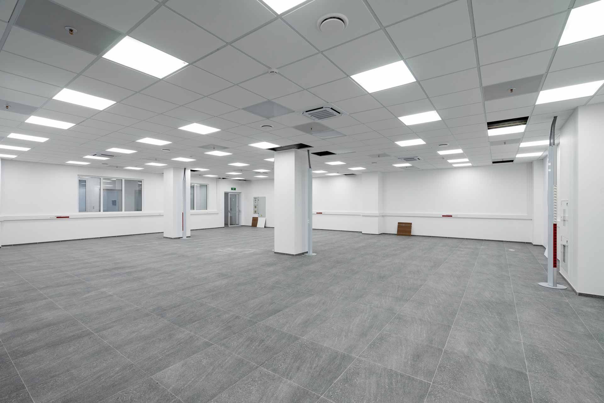 Empty open office space with gray carpet, white walls, and fluorescent ceiling lights