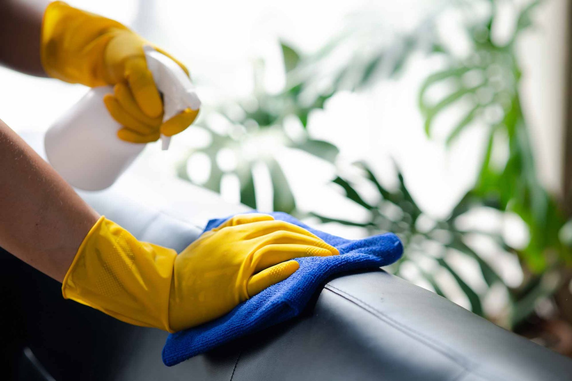 Yellow-gloved hand spraying cleaner on a blue cloth over a leather couch