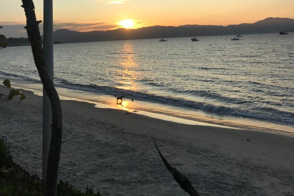 pôr do sol à beira mar e cachorro correndo na areia