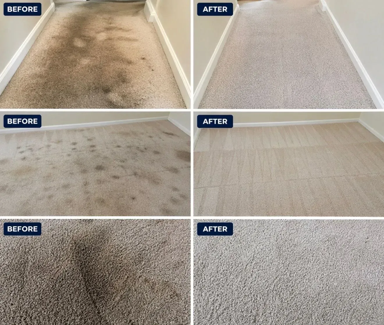 Before-and-after photos of cleaned carpets, showing stains removed and fibers restored.