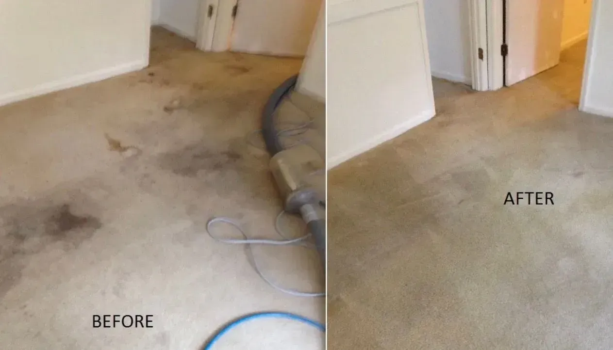Carpet cleaning before-and-after: stained beige carpet on the left, clean beige carpet on the right.