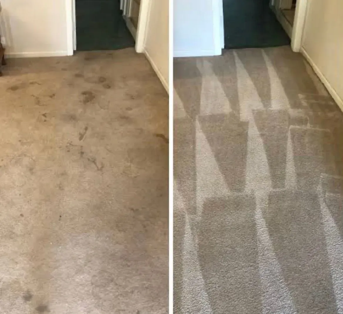 Before-and-after carpet cleaning in a hallway: stained beige carpet beside freshly cleaned patterned carpet.